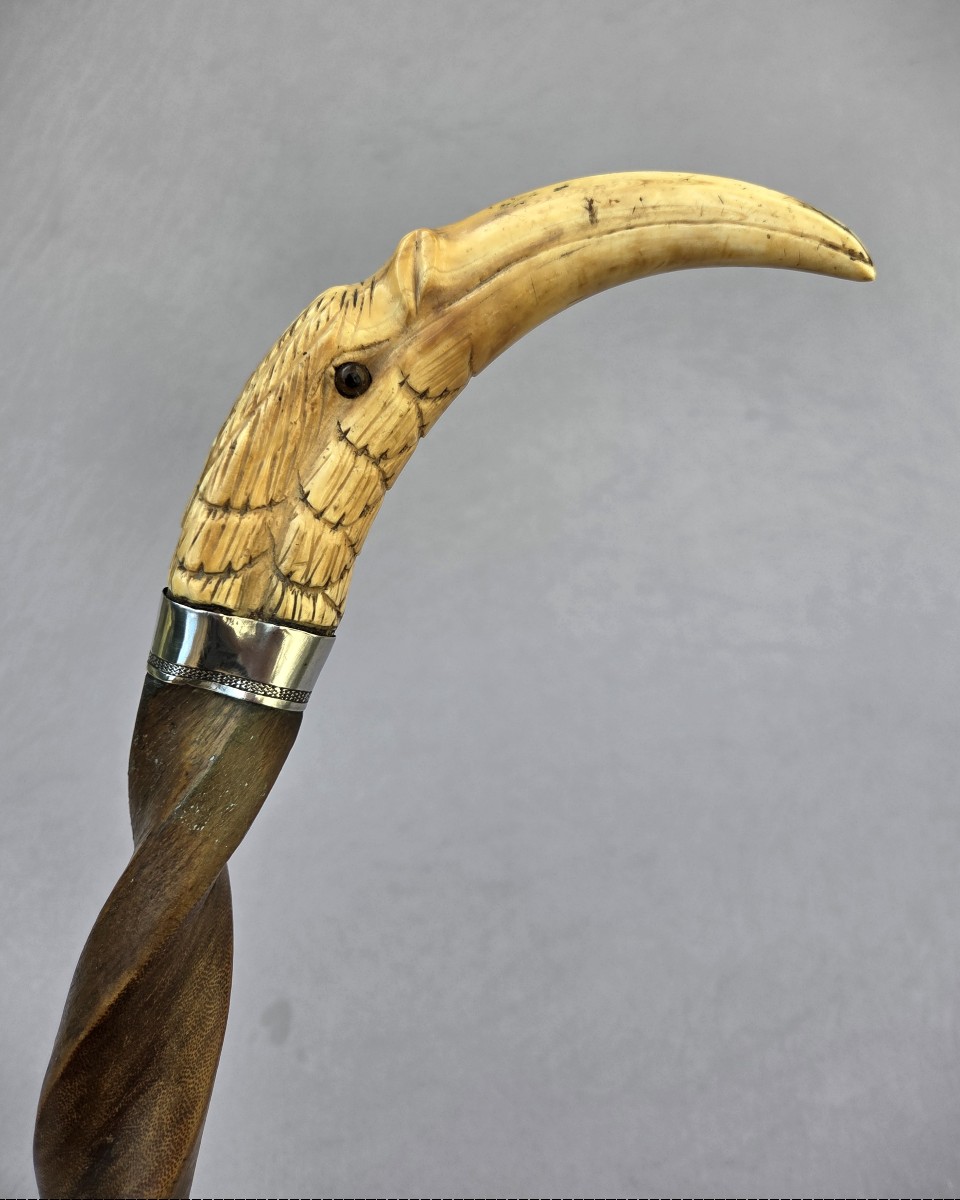Curiosité, canne ancienne au pommeau en dent de phacochère sculptée et fût en nerf de bœuf