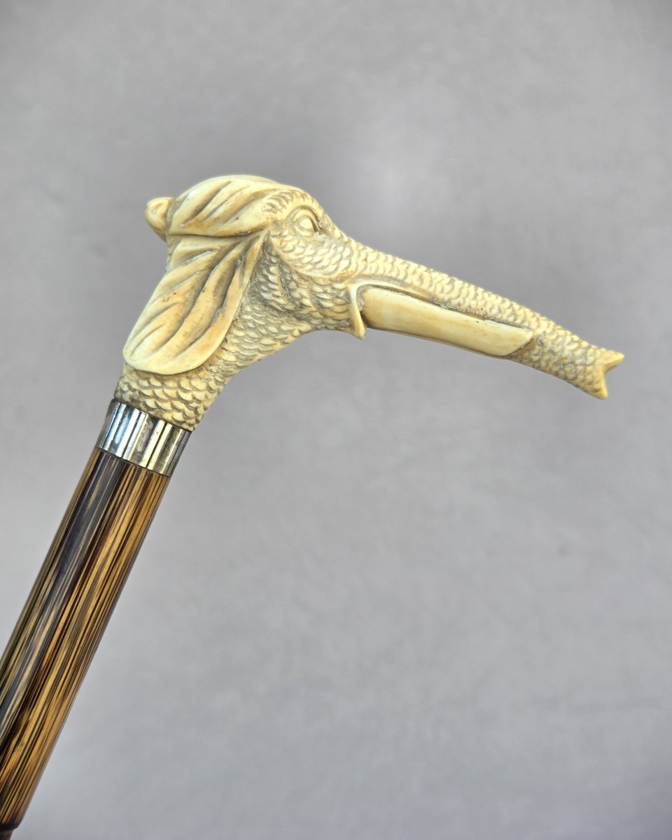 Canne au pommeau en os sculpté d’une tête d’éléphant-photo-2