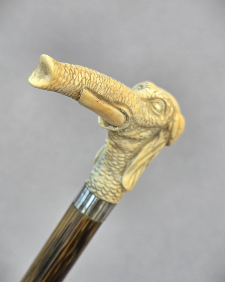 Canne au pommeau en os sculpté d’une tête d’éléphant-photo-3