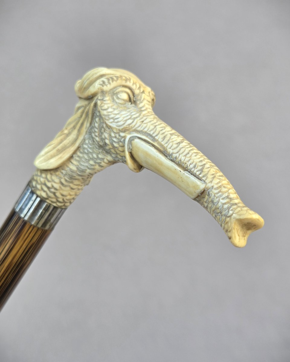 Canne au pommeau en os sculpté d’une tête d’éléphant-photo-4