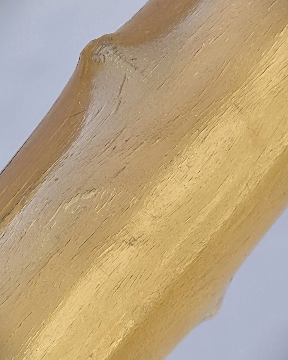 Canne ancienne en corne, bague en or 18 K, fin XIXᵉ siècle-photo-1