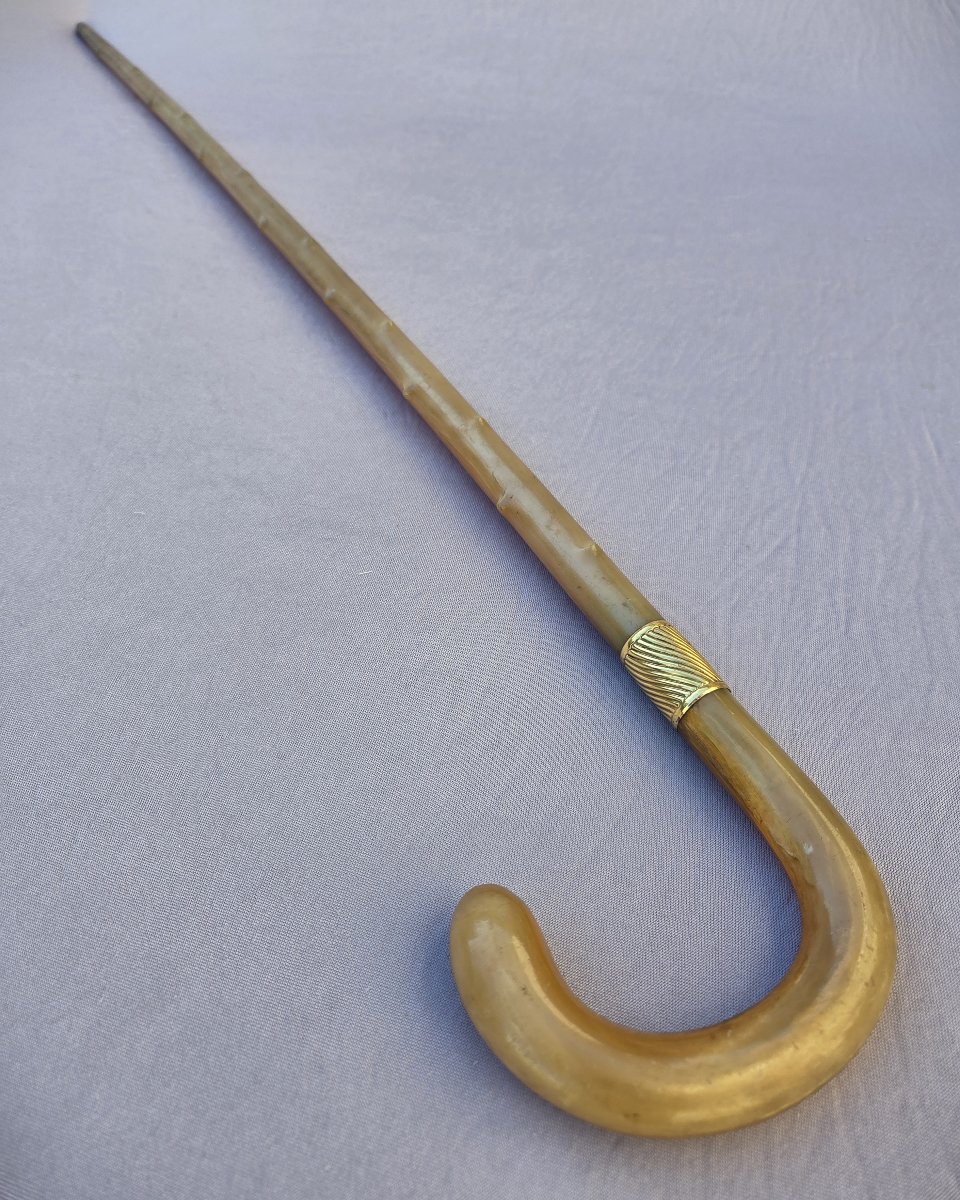 Canne ancienne en corne, bague en or 18 K, fin XIXᵉ siècle-photo-2