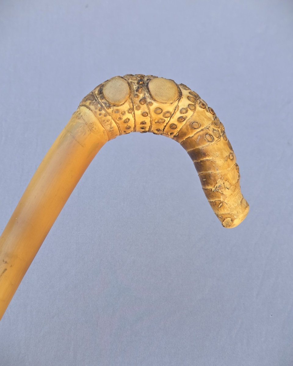 Canne monoxyle pommeau en racine de bambou-photo-2