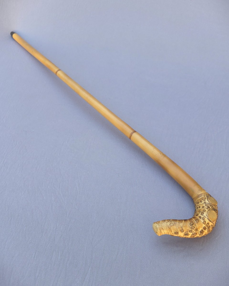 Canne monoxyle pommeau en racine de bambou-photo-3