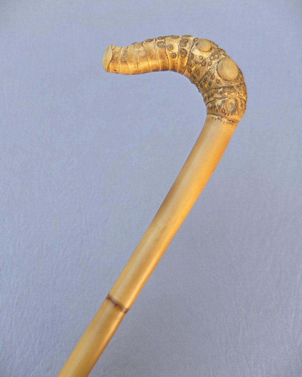 Canne monoxyle pommeau en racine de bambou
