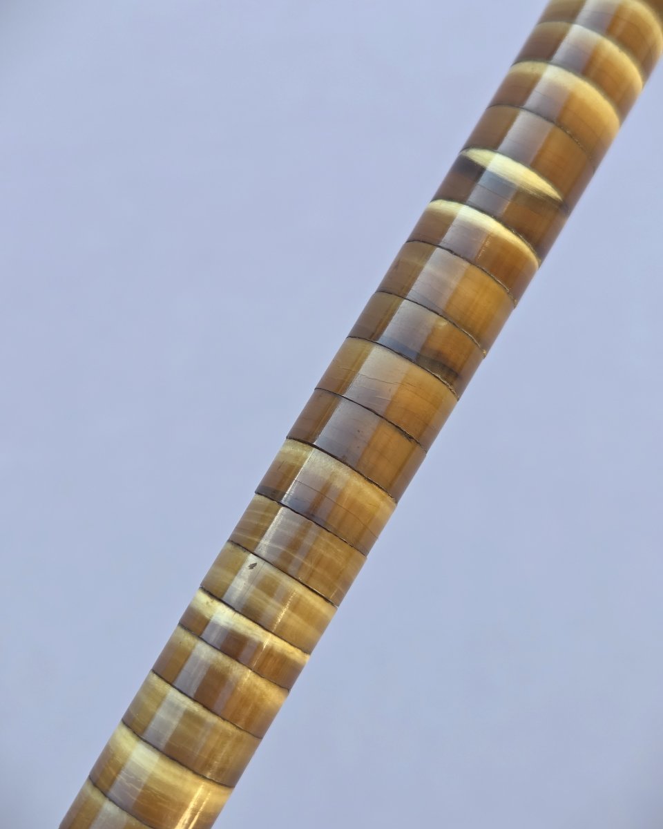 Walking Stick Made Entirely Of Horn Discs-photo-2