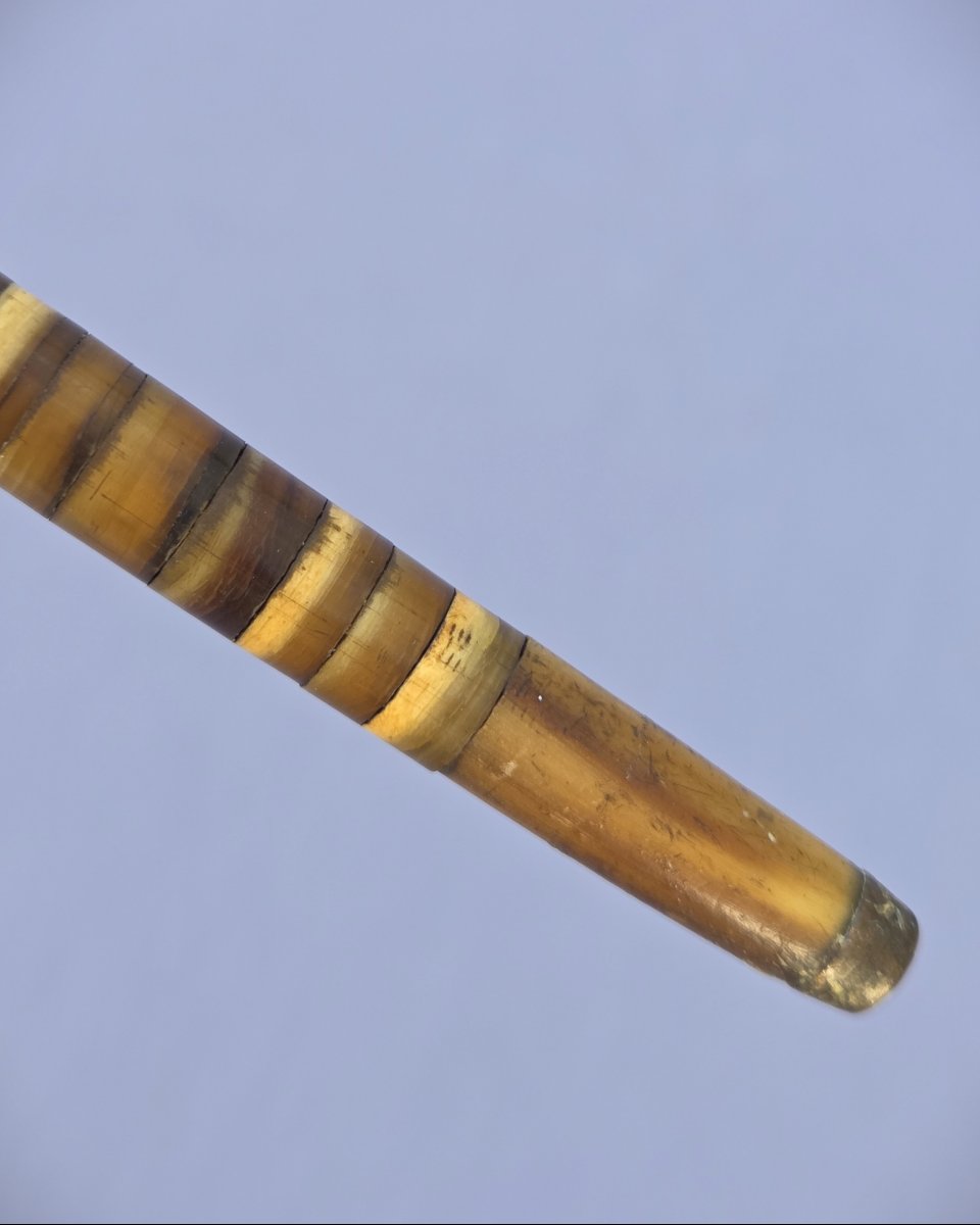 Walking Stick Made Entirely Of Horn Discs-photo-3