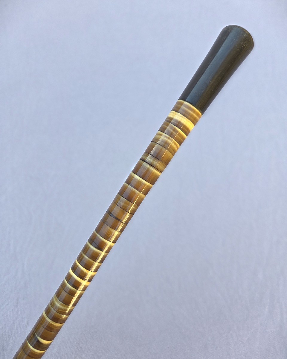 Walking Stick Made Entirely Of Horn Discs