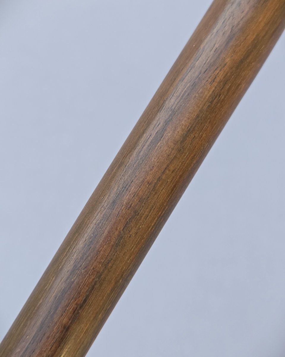 Monoxylous Walking Stick Made Of Precious Wood, Macassar Ebony-photo-3