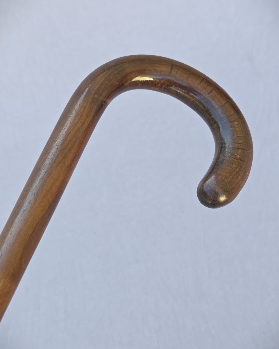Monoxylous Walking Stick Made Of Precious Wood, Macassar Ebony