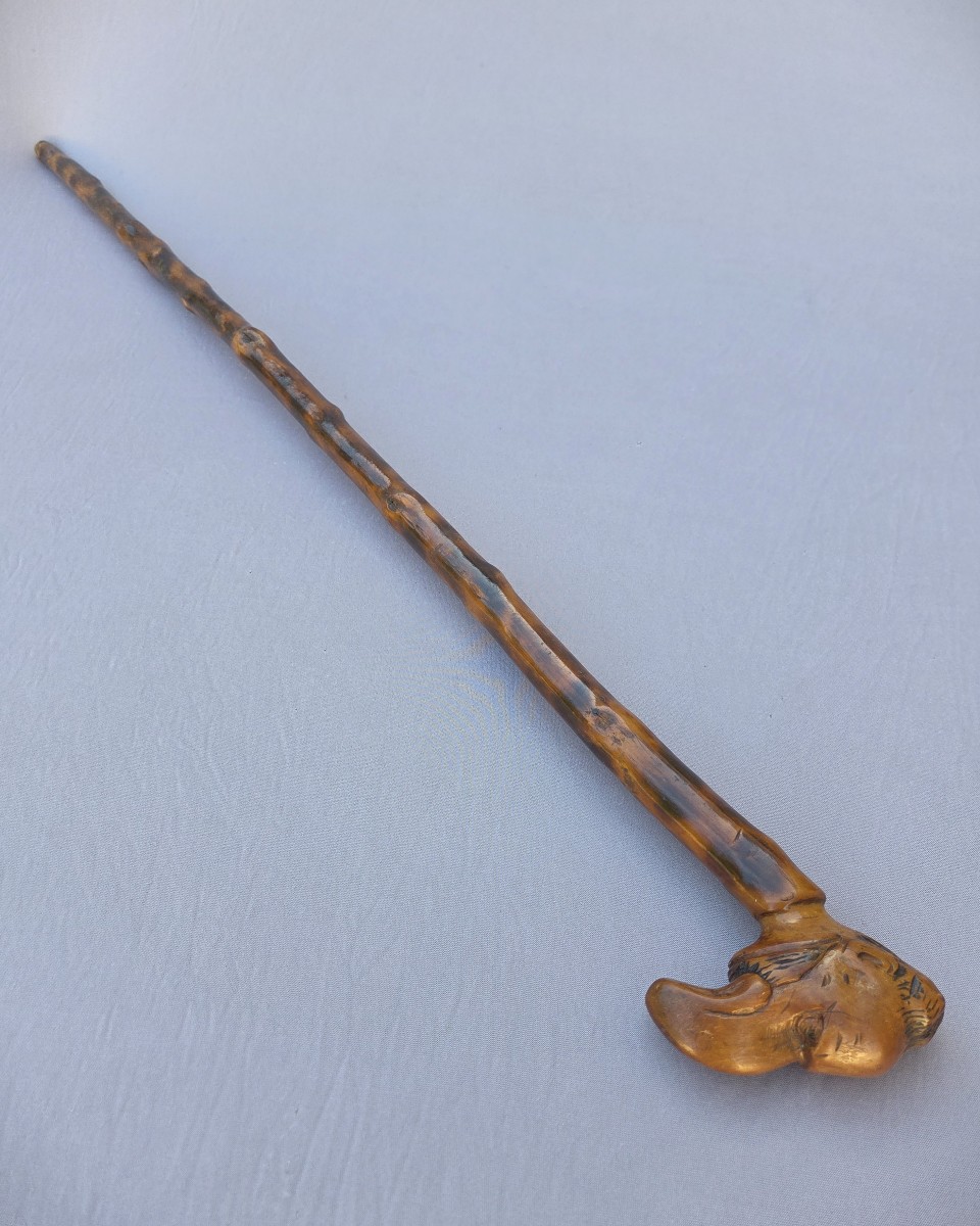 Folk Art Cane, Also Known As An Antisemitic "opinion" Cane-photo-1