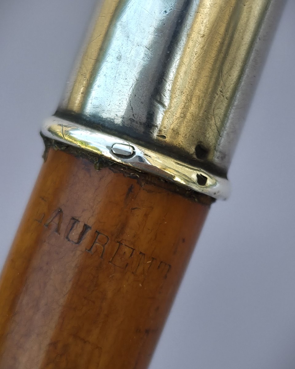 Canne ancienne, Badine Art Nouveau pommeau libellule en argent et opales-photo-3