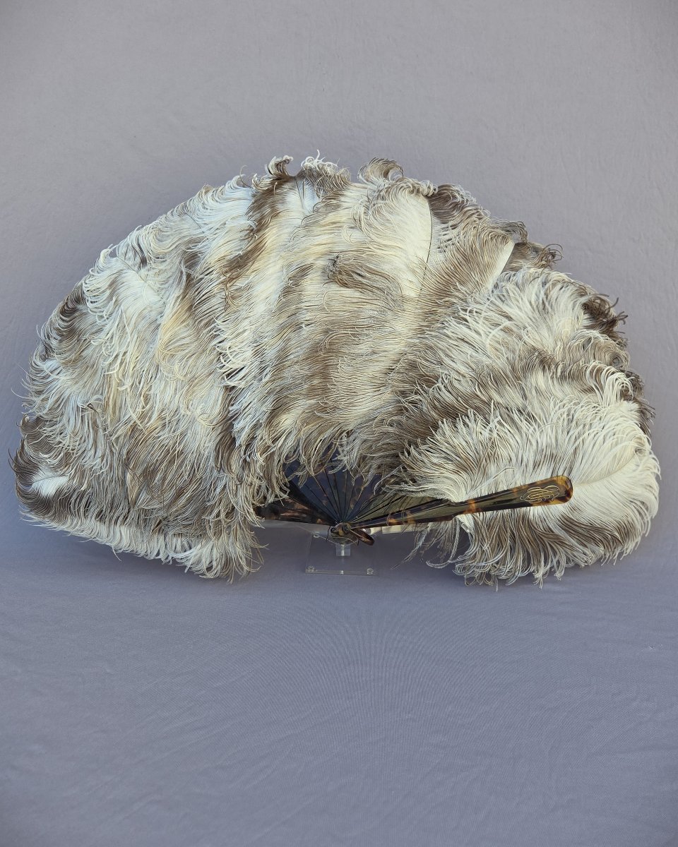 Tortoiseshell And Ostrich Feather Fan By Buissot In Paris-photo-2