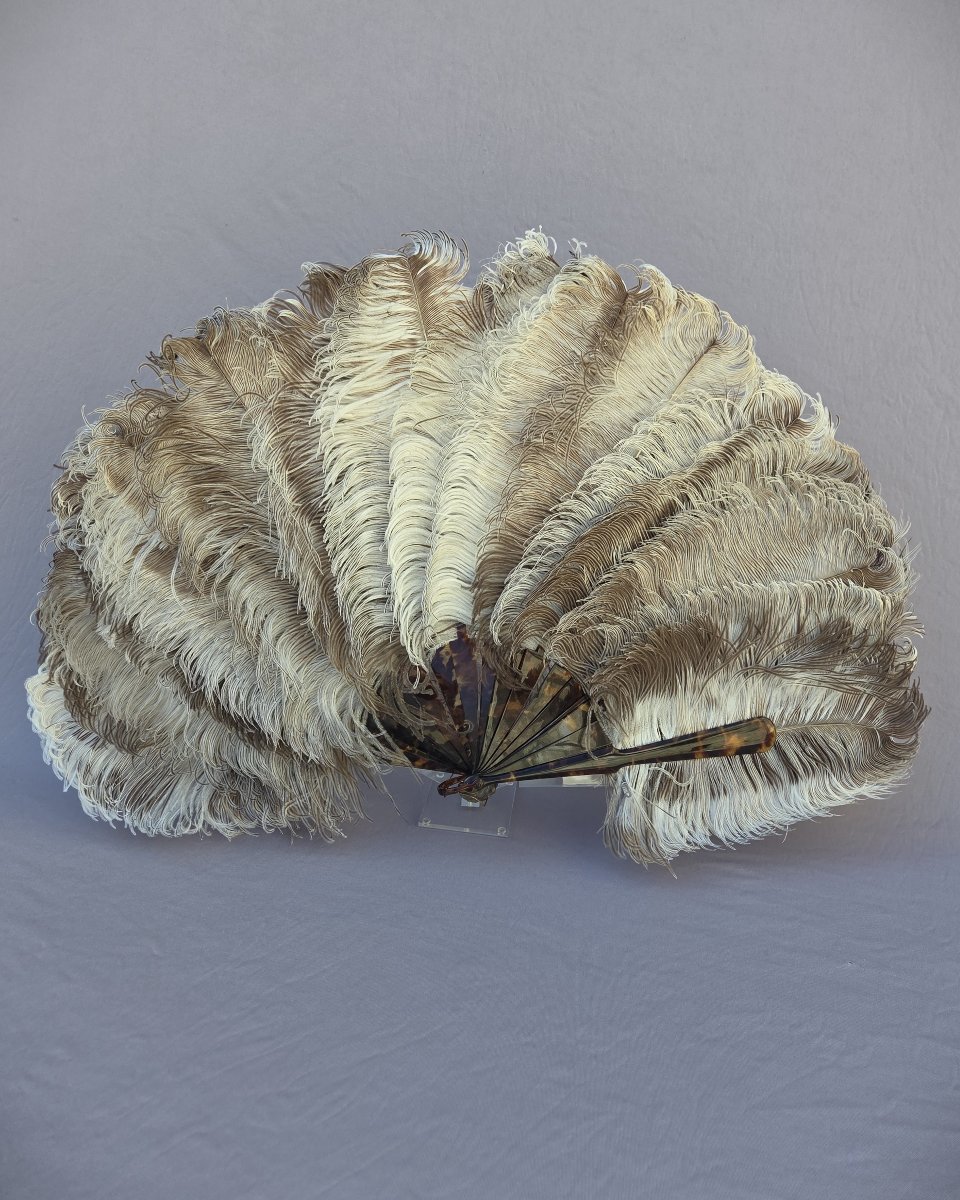 Tortoiseshell And Ostrich Feather Fan By Buissot In Paris-photo-3