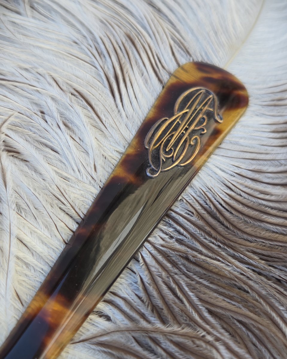 Tortoiseshell And Ostrich Feather Fan By Buissot In Paris-photo-1