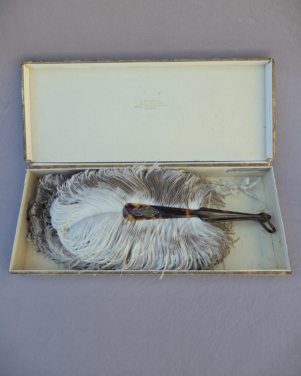 Tortoiseshell And Ostrich Feather Fan By Buissot In Paris-photo-3