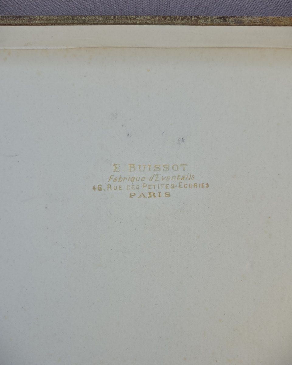 Tortoiseshell And Ostrich Feather Fan By Buissot In Paris-photo-4