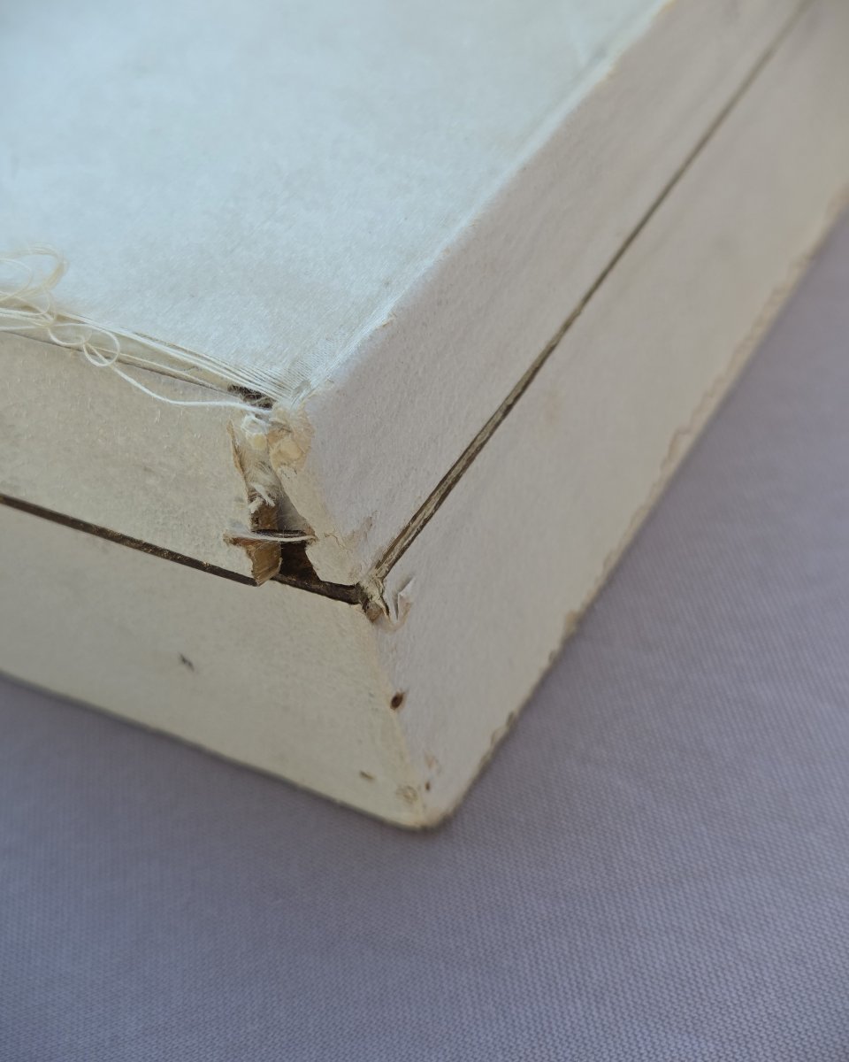 Tortoiseshell And Ostrich Feather Fan By Buissot In Paris-photo-5