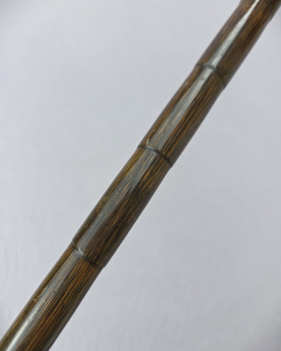 Canne ancienne de collection vers 1900 – pommeau écaille – bague monogrammée EL --photo-4