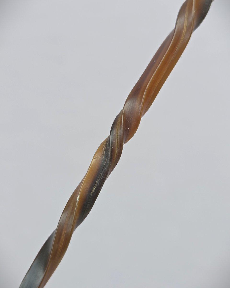 Fine Badine, Whip, In Turned Horn, Circa 1900-photo-2