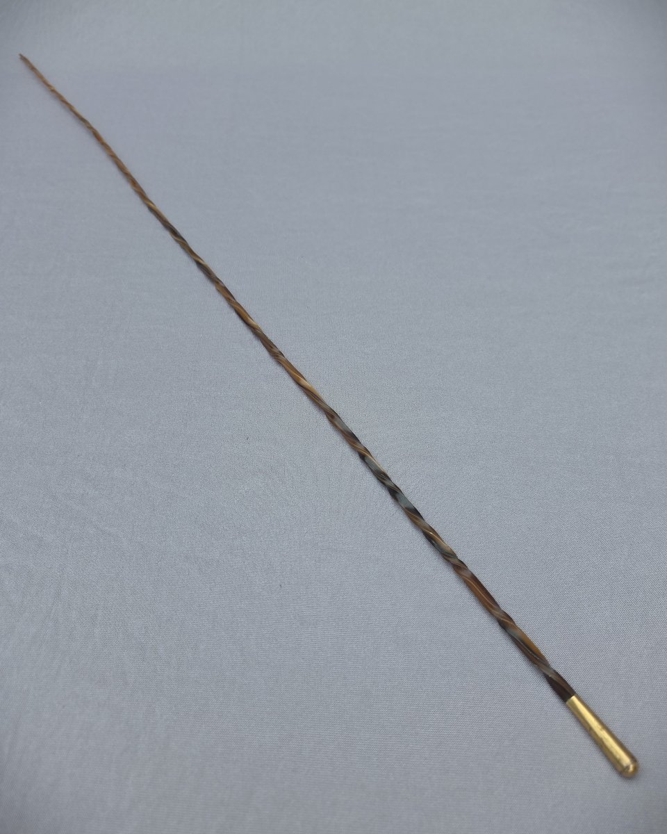 Fine Badine, Whip, In Turned Horn, Circa 1900-photo-3
