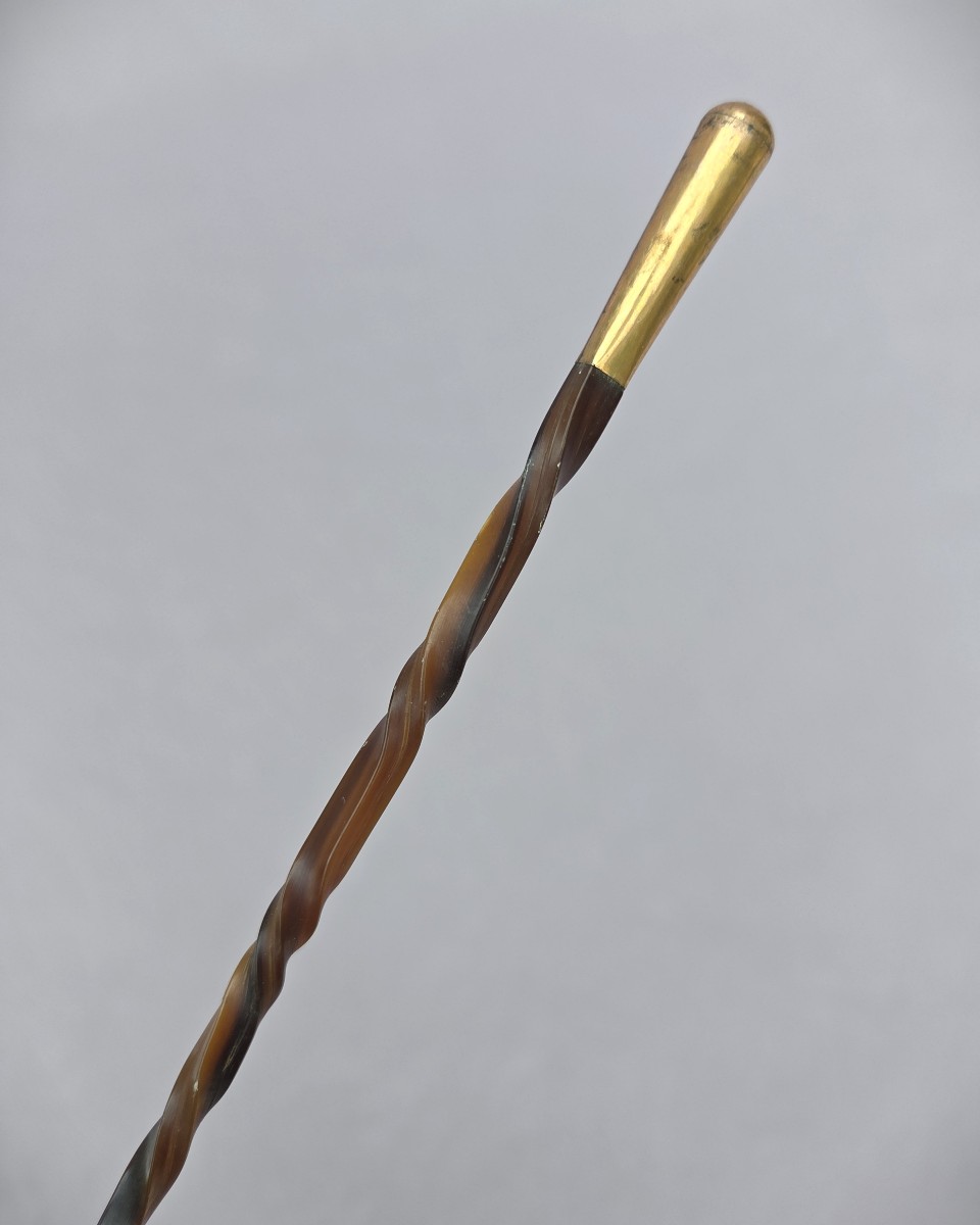 Fine Badine, Whip, In Turned Horn, Circa 1900