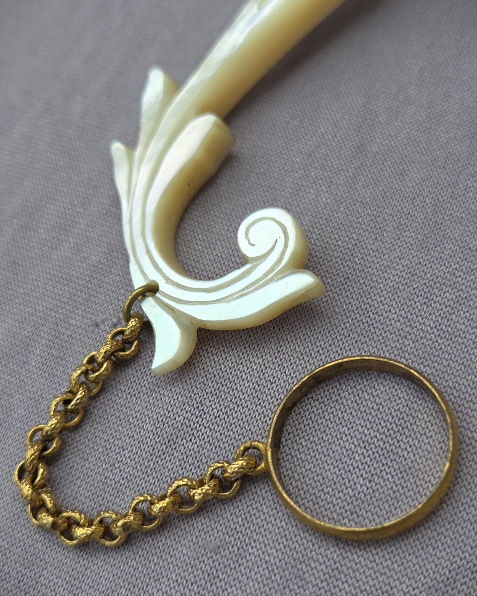 Mother-of-pearl Tussie Mussie, Bouquet Holder, Circa 1850-photo-3
