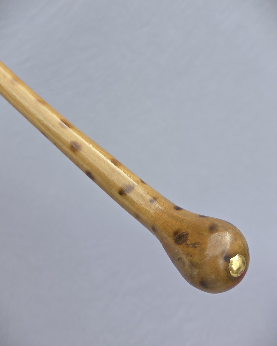 Mid-19ᵉ Century French Umbrella, Circa 1860-photo-3