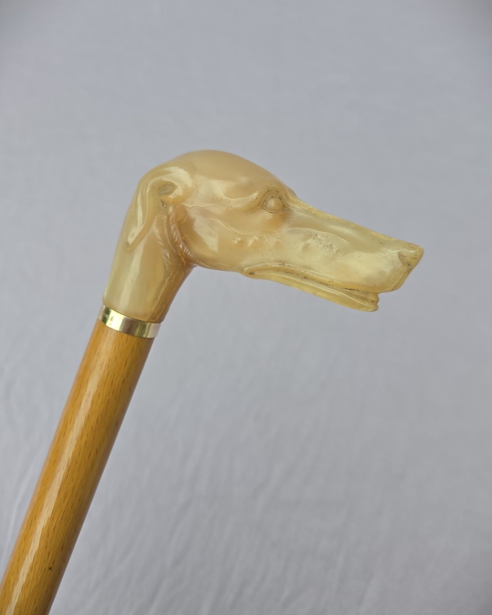 Antique Collection Cane, Horn Knob With Dog Head