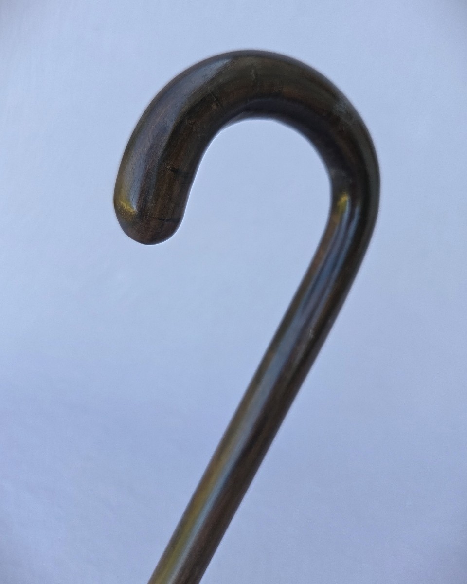 Canne monoxyle en bois précieux, ébène de Macassar