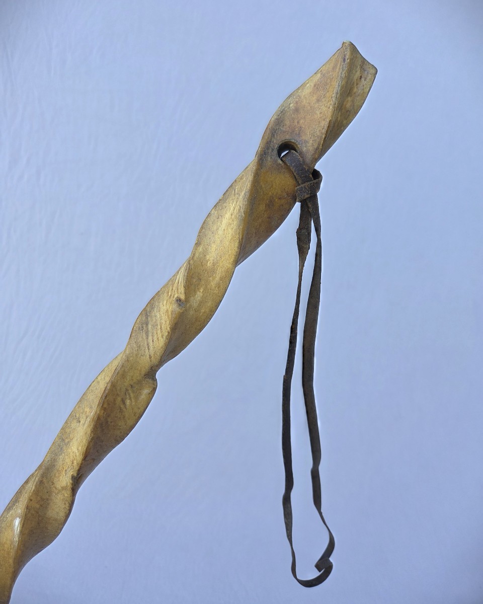 Cane With Wide, Square-section, Twisted Ox-grain Shaft