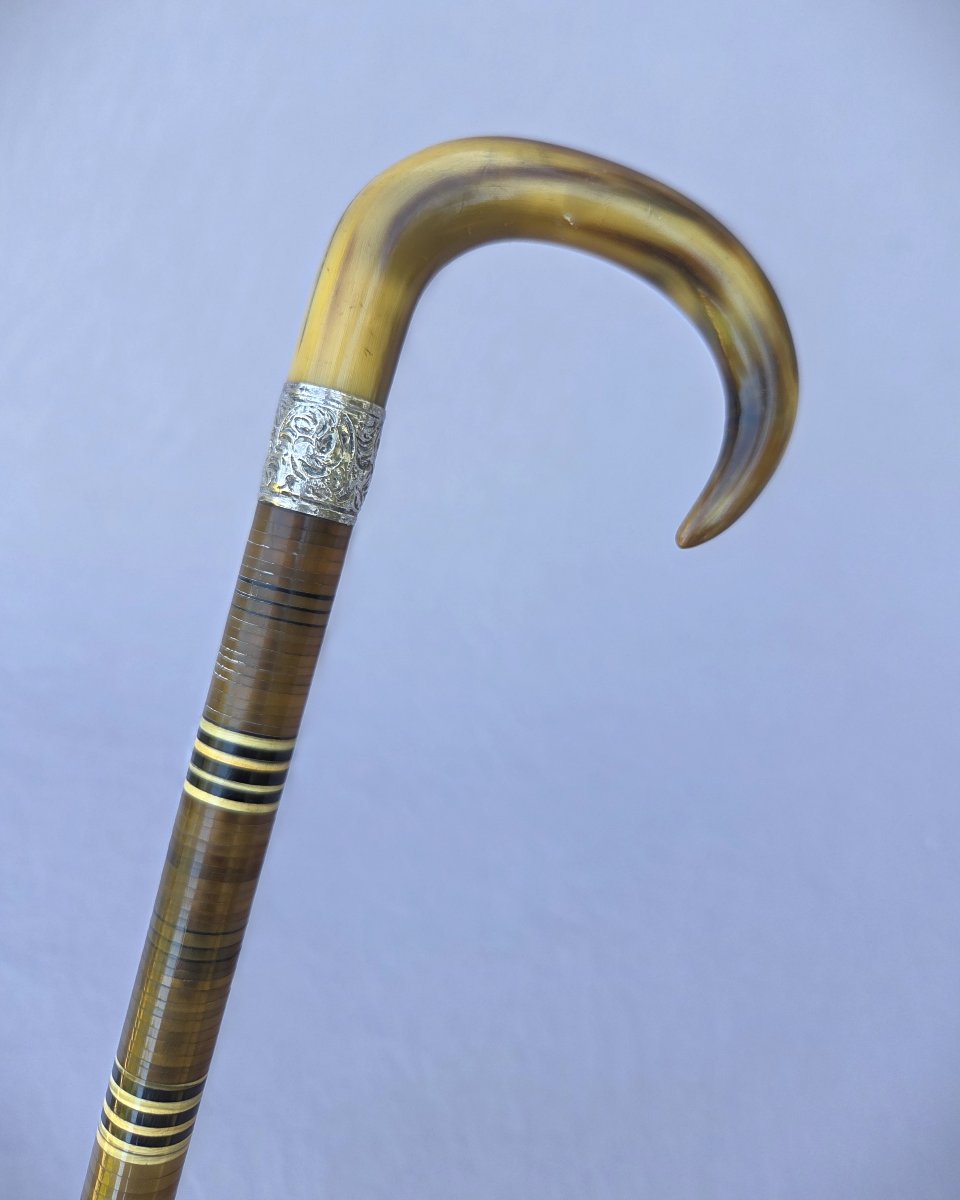 All-horn And Bone Cane From The 1900s-photo-2
