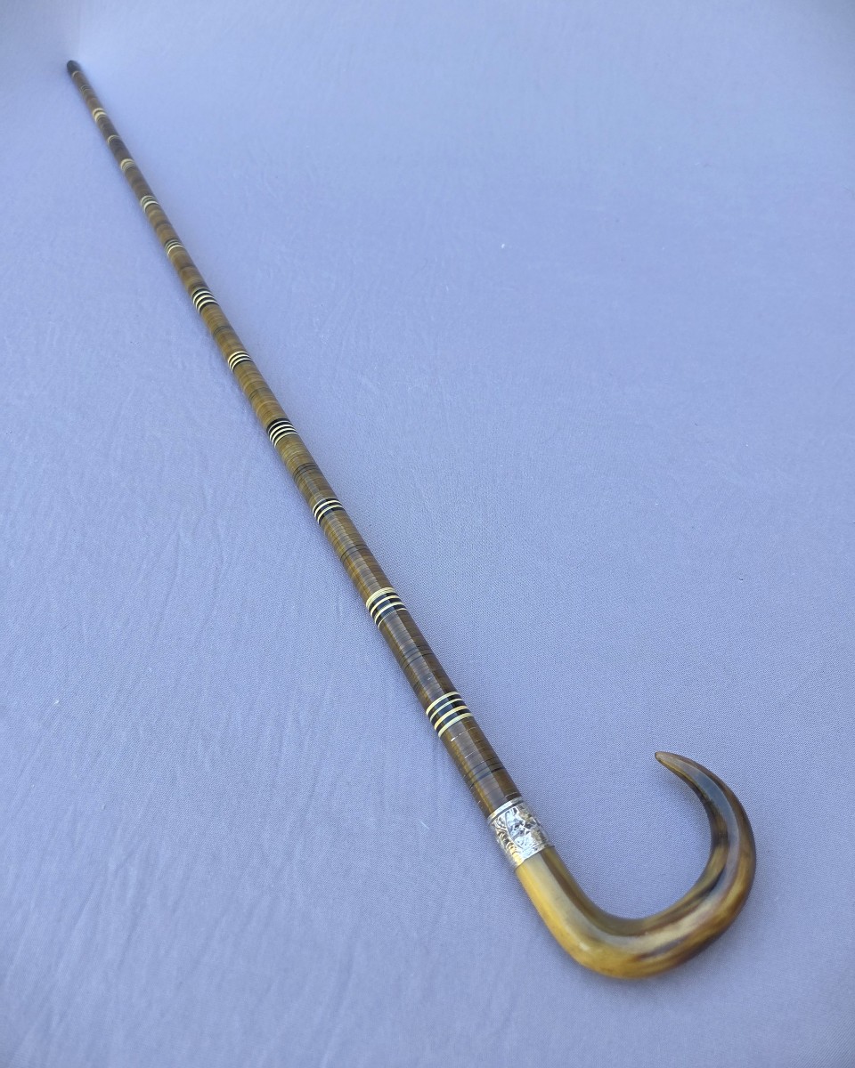 All-horn And Bone Cane From The 1900s-photo-1