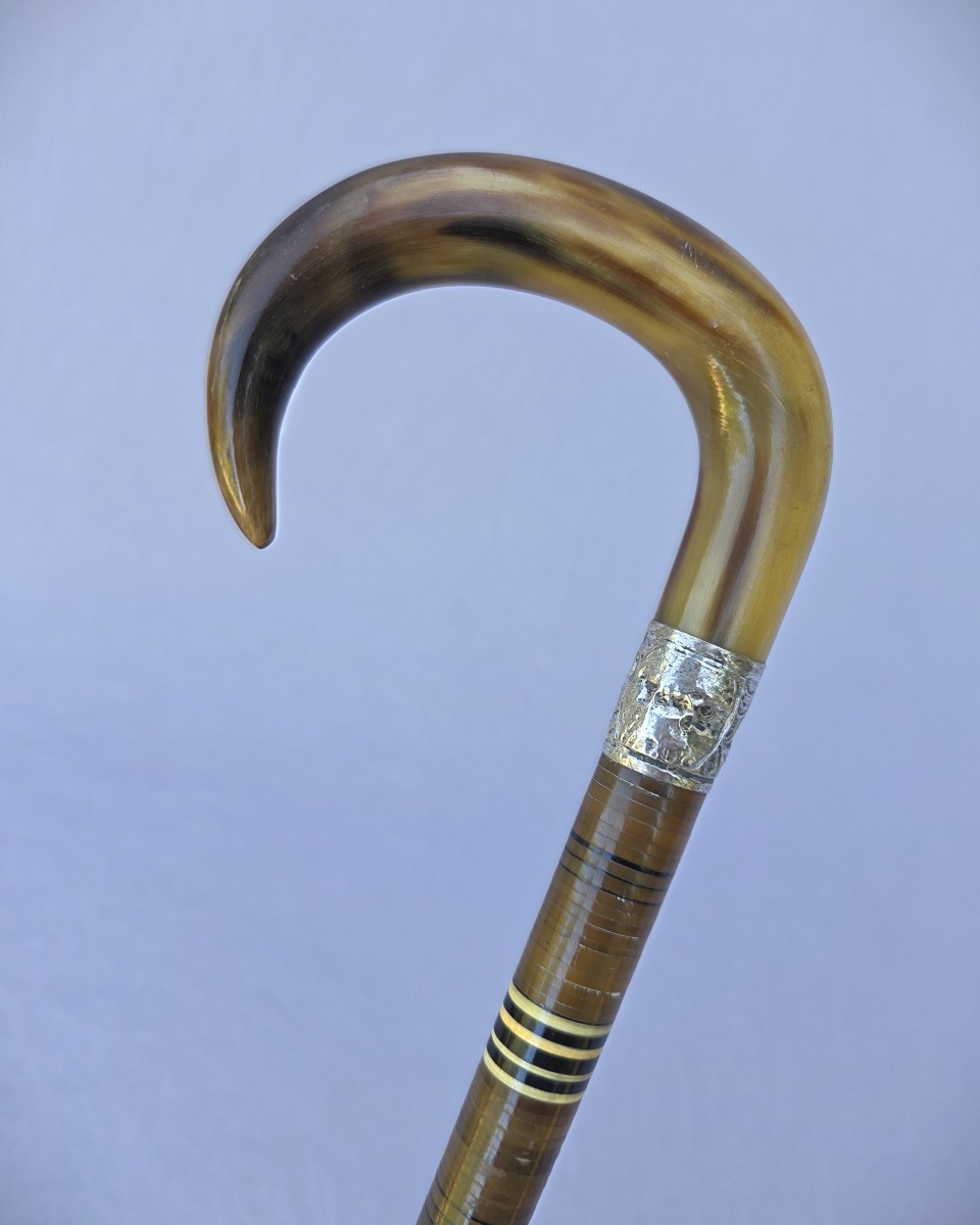 All-horn And Bone Cane From The 1900s