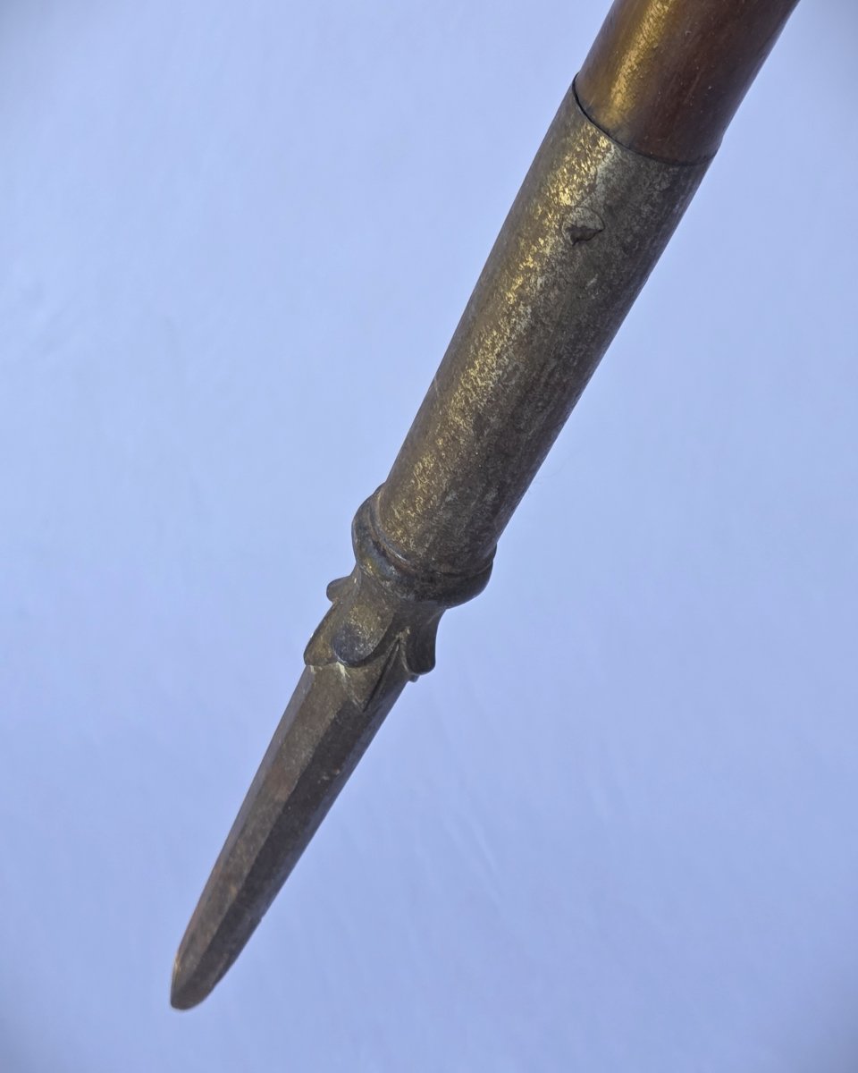 18th Century Cane, Coat Of Arms Under Marquis Crown, Carved Wood-photo-4