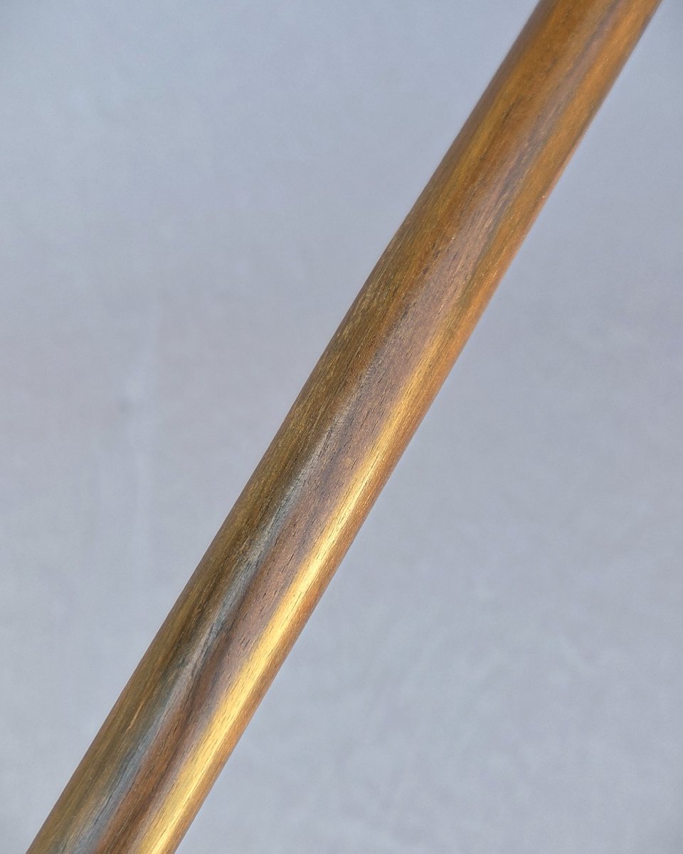 Canne monoxyle en bois précieux, ébène de Macassar-photo-3