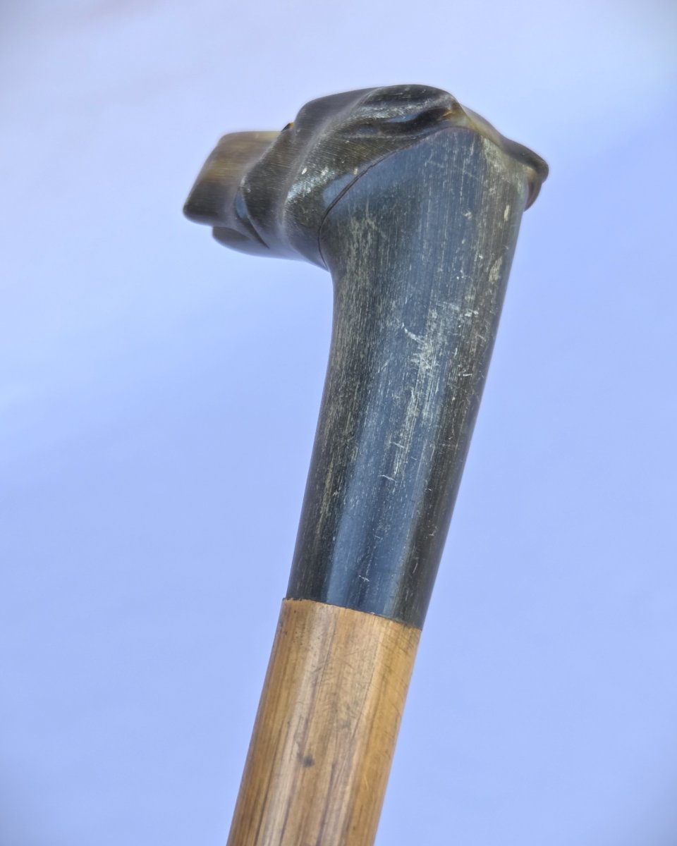 Walking Stick With A Dog-head Pommel Made Of Horn, Circa 1900-photo-2