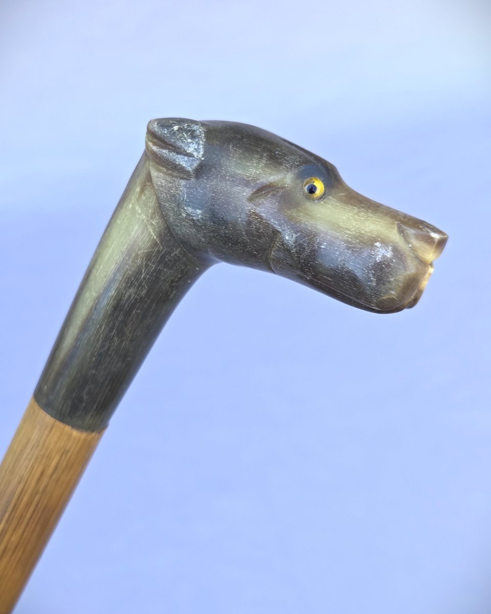 Walking Stick With A Dog-head Pommel Made Of Horn, Circa 1900