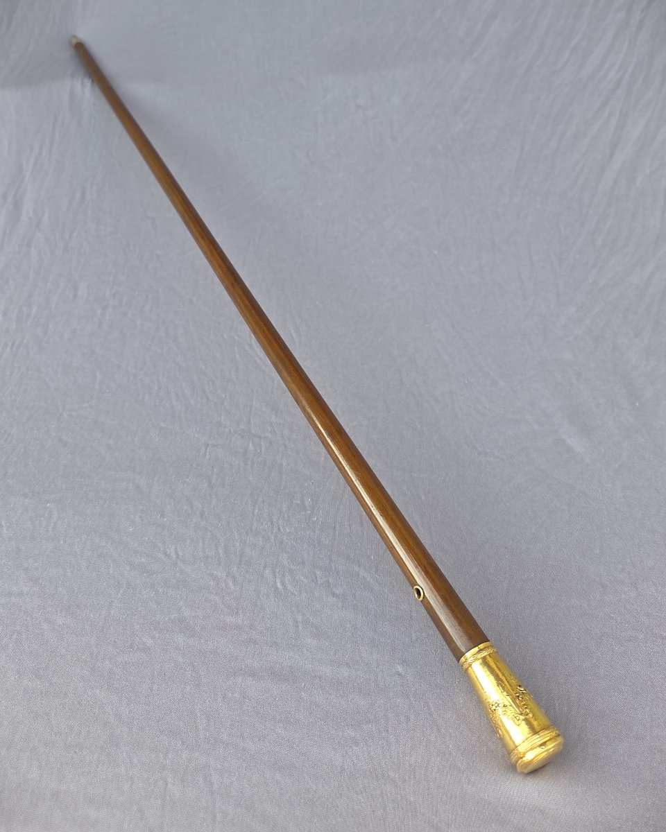 Canne ancienne au pommeau en or 18 carats, XIXe siècle-photo-2
