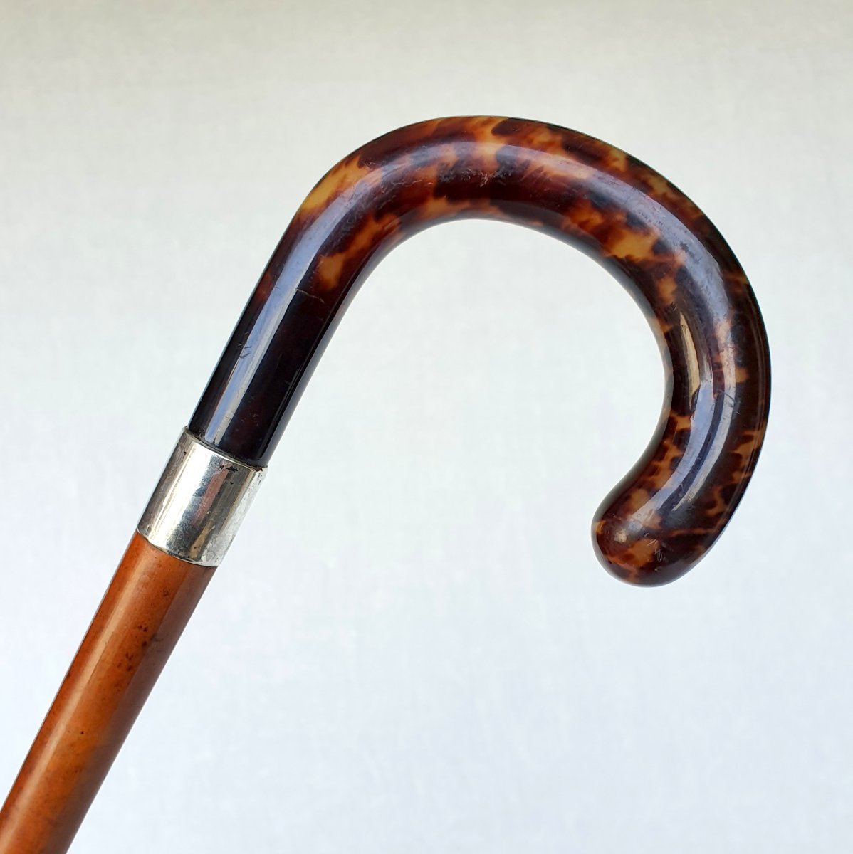 Tortoiseshell Cane, Silver Ring, Late 19th Century