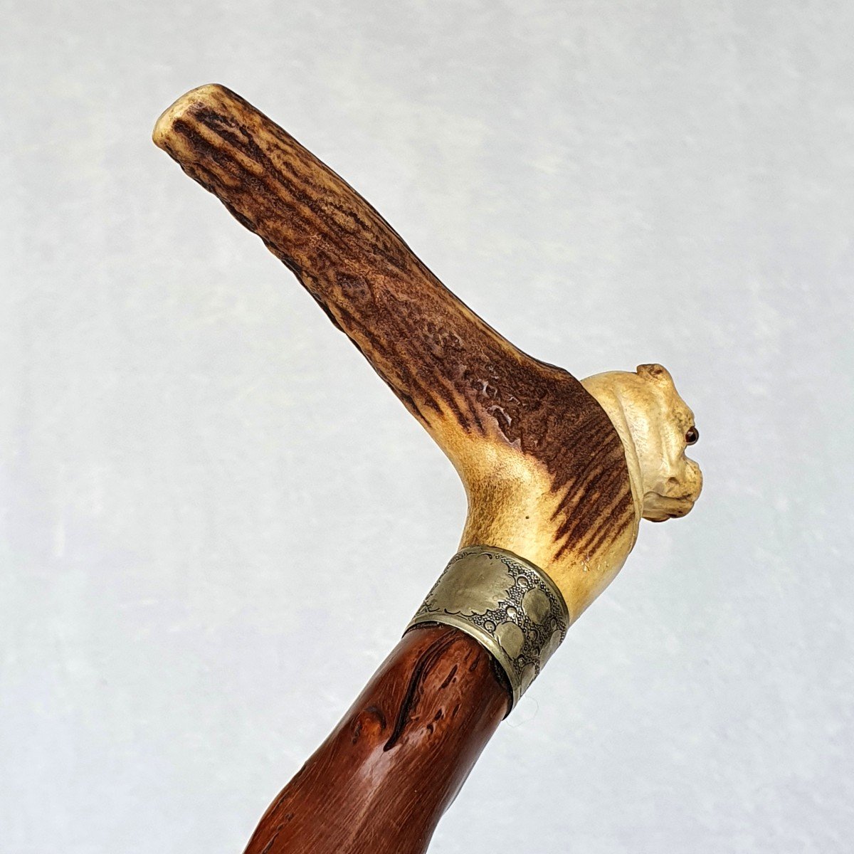 Antique Cane, Dog Head,  Handle In Deer Antler-photo-3