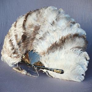 Ostrich And Marabou Feather Fan, Gold Monogram, Circa 1880