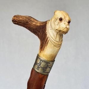 Antique Cane, Dog Head,  Handle In Deer Antler