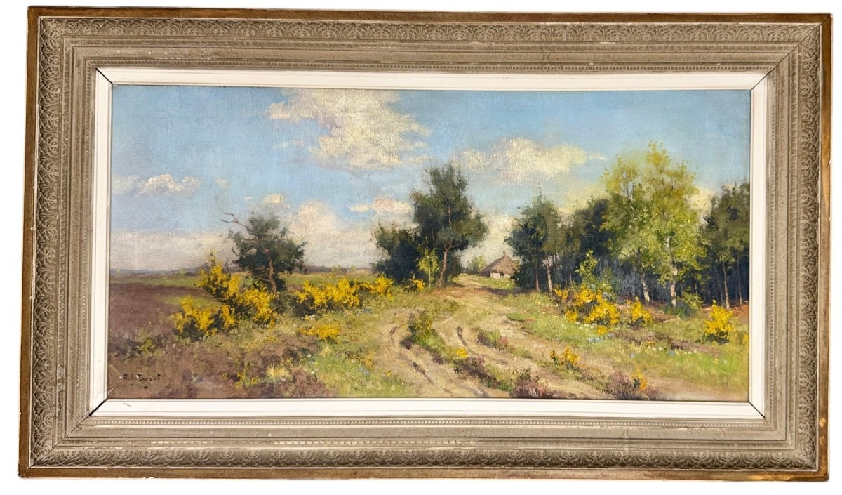 Paysage Impressionniste - Lage Mierde, Brabant Septentrional, Pays-bas Par 'Arie' Zwart 