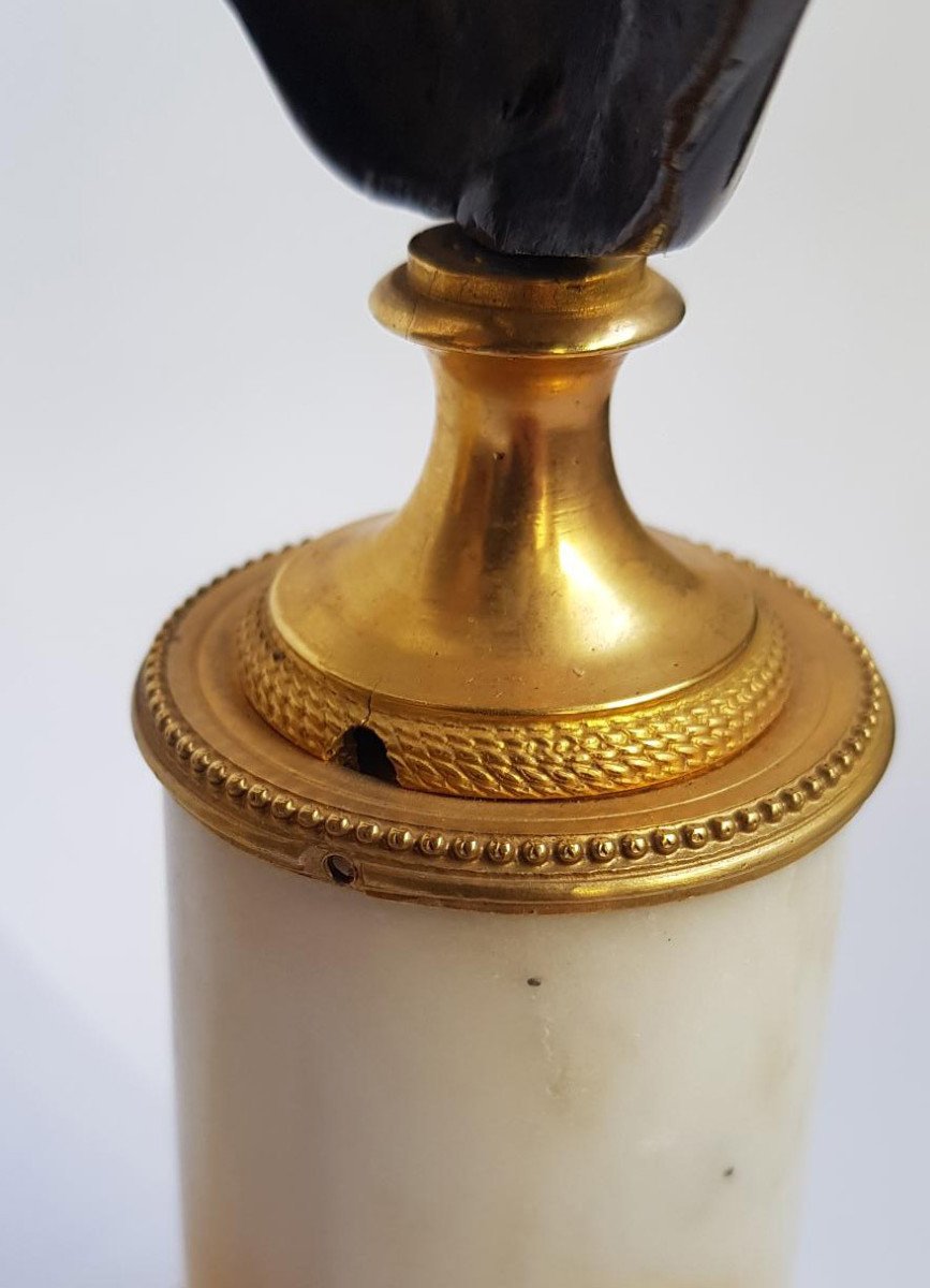 Paire De Bustes En Bronze Et Marbre: Voltaire Et Rousseau, XVIIIe Siècle Français Vers 1770 -photo-4