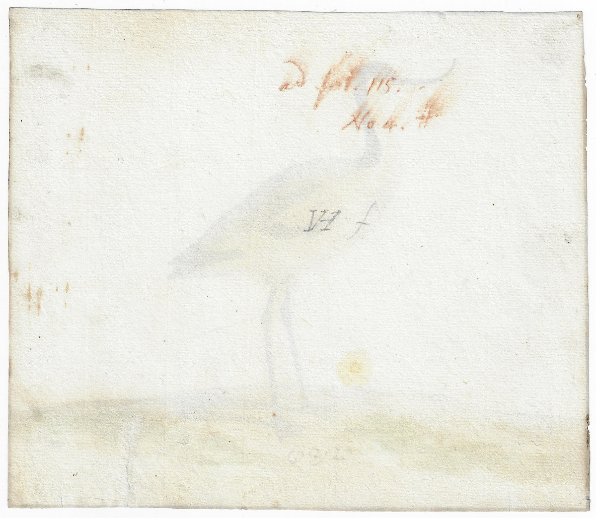 Pieter Holsteyn II (haarlem C. 1614 – 1673 Amsterdam) Study Of An Avocet -photo-1