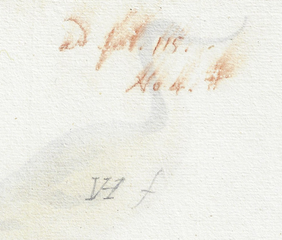 Pieter Holsteyn II (haarlem C. 1614 – 1673 Amsterdam) Study Of An Avocet -photo-2