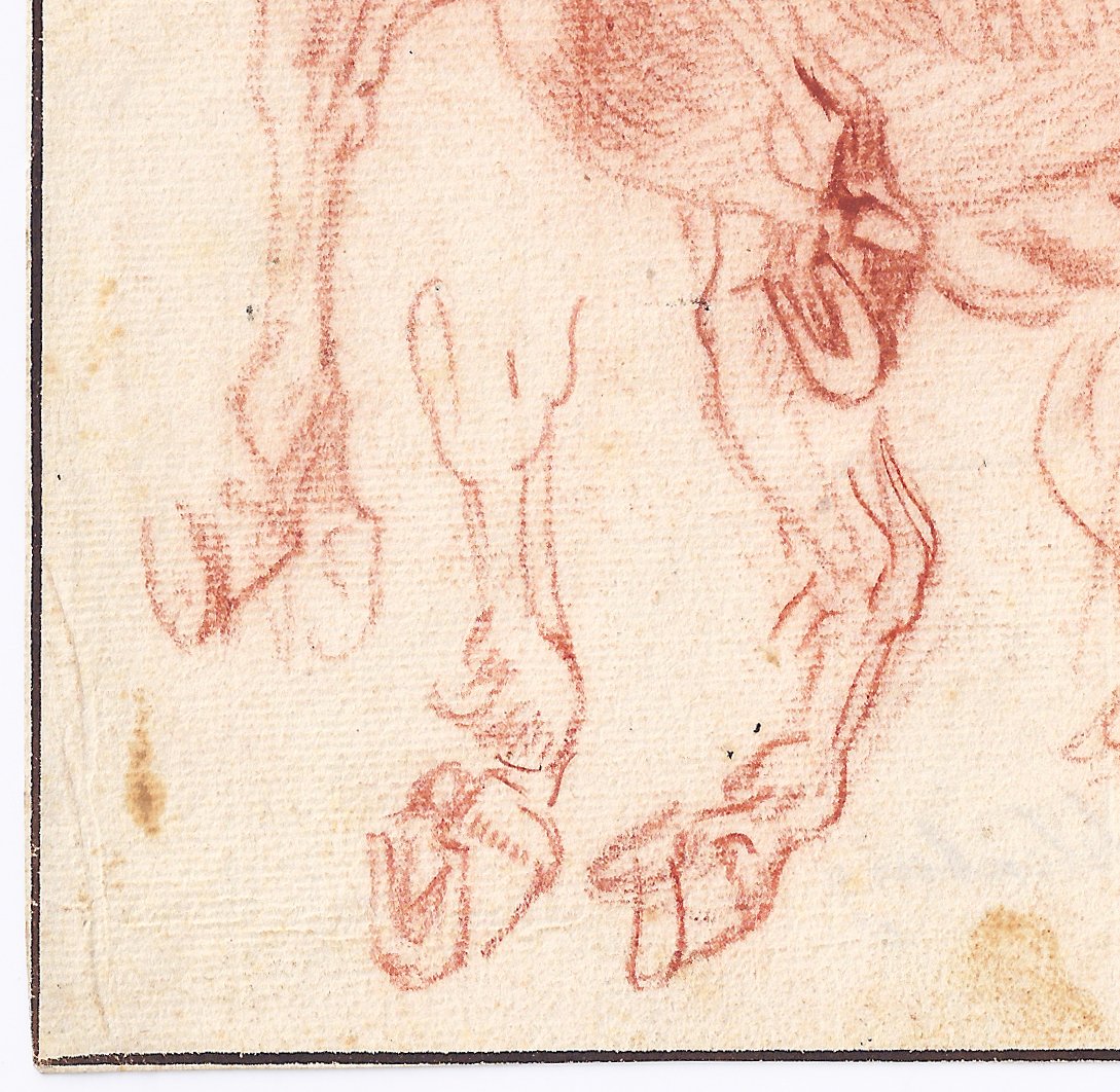 Dessin ancien hollandais XVIIe par Jan van Huchtenburg (1647–1733)  Feuille d'études de cheval -photo-3