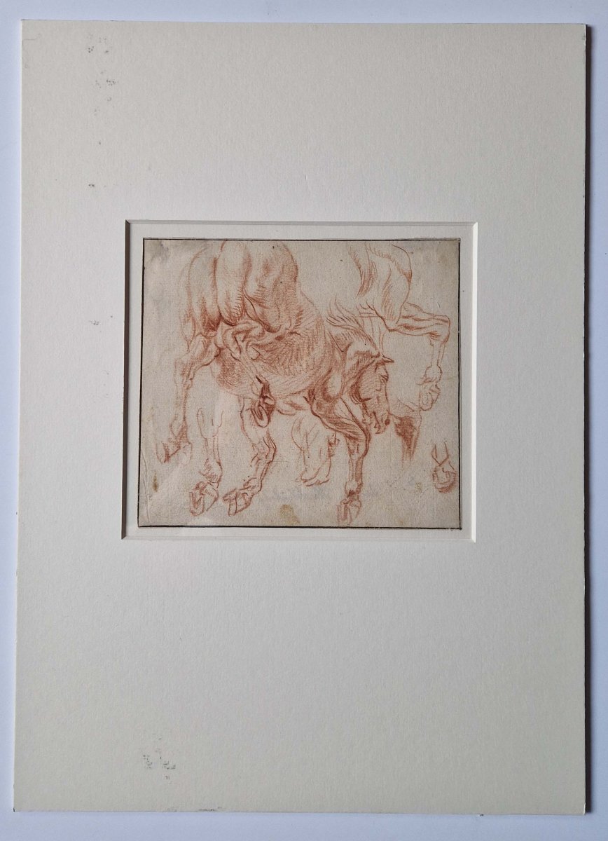 Dessin ancien hollandais XVIIe par Jan van Huchtenburg (1647–1733)  Feuille d'études de cheval -photo-4
