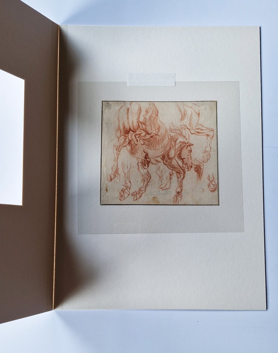 Dessin ancien hollandais XVIIe par Jan van Huchtenburg (1647–1733)  Feuille d'études de cheval -photo-1